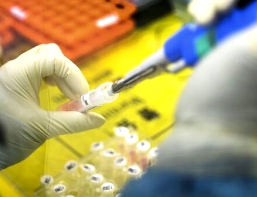 statistika-koronavirus-19_02_2021-roku.jpg